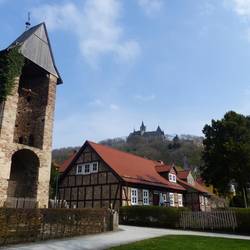 DigiShop Harz - TECLA e.V. startet in neues LEADER-Projekt